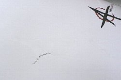 �G�|�L�V �v���Z�{ �f�b�L 1